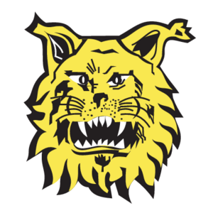 Footbal Club Ilves de Tampere Logo