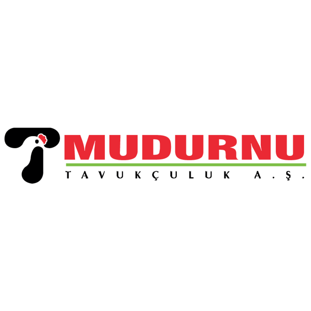 Mudurnu