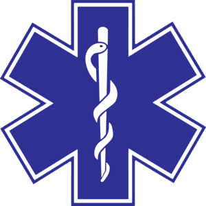 Paramedico Logo
