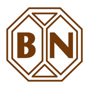 Banco Nacional Costa Rica Logo