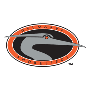 Delmarva Shorebirds(199) Logo