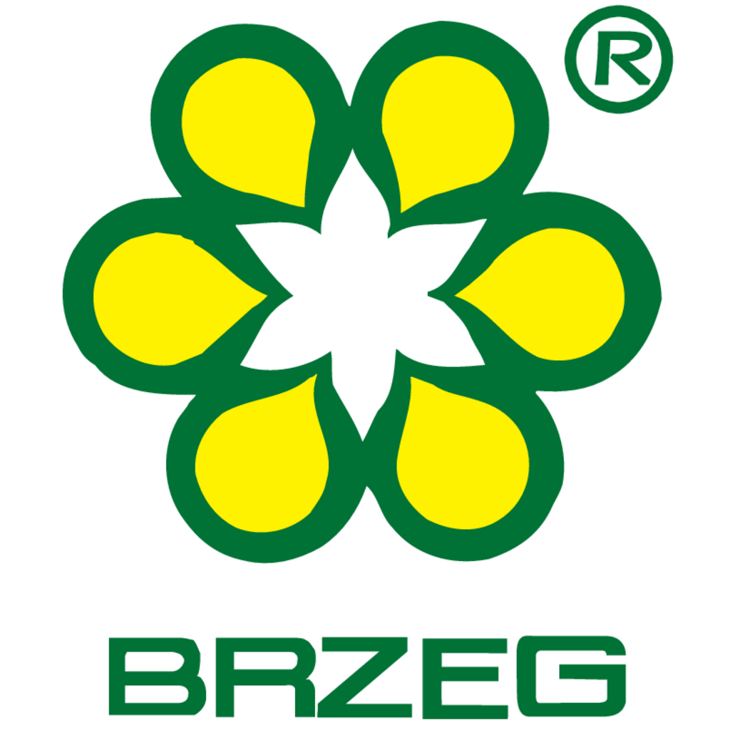 Brzeg