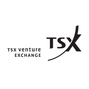 TSX Venture Exchange(12) Logo