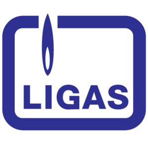 Ligas Logo