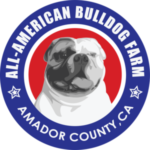 All American Bulldog Farm