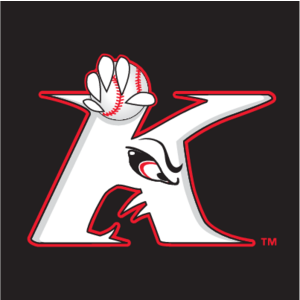 Kannapolis Intimidators(51) Logo