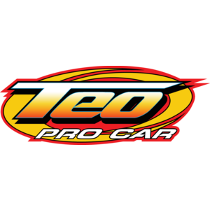 Teo Pro Car Logo