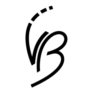 Vereniging van Bedrijfstakpensioenfondsen Logo