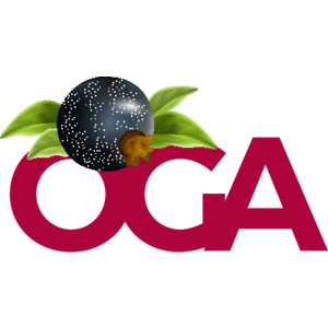 Oga Design Logo