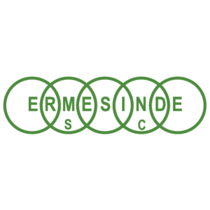 Ermesinde Logo