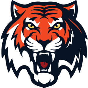 Hc Amur Logo