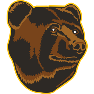 Boston Bruins Logo