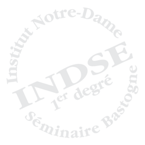 INDSE Logo
