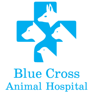 Blue Cross Animal Hospital Logo