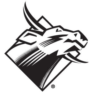 USF Bulls Logo