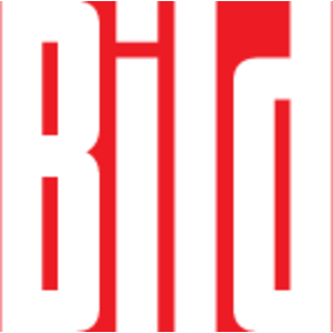 Bild-Zeitung Logo