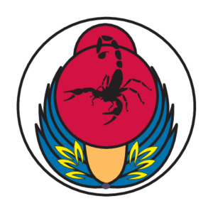 Israel Aircraft Unit Logo