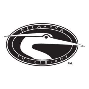 Delmarva Shorebirds Logo
