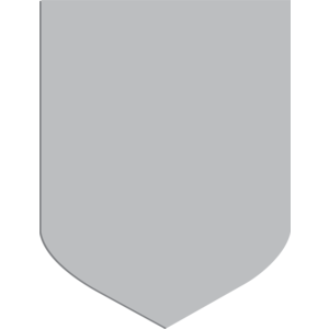 Logo, Sports, Moldova, FC Speranta