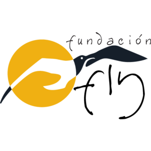 Fundacion Fly Logo