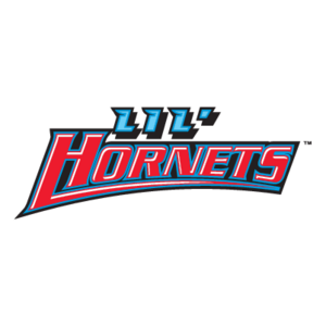 Delaware State Hornets(185) Logo
