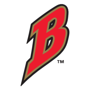 Buffalo Bisons(359) Logo