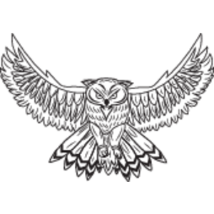 Owl Logo
