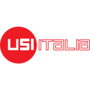 USI Italia Logo