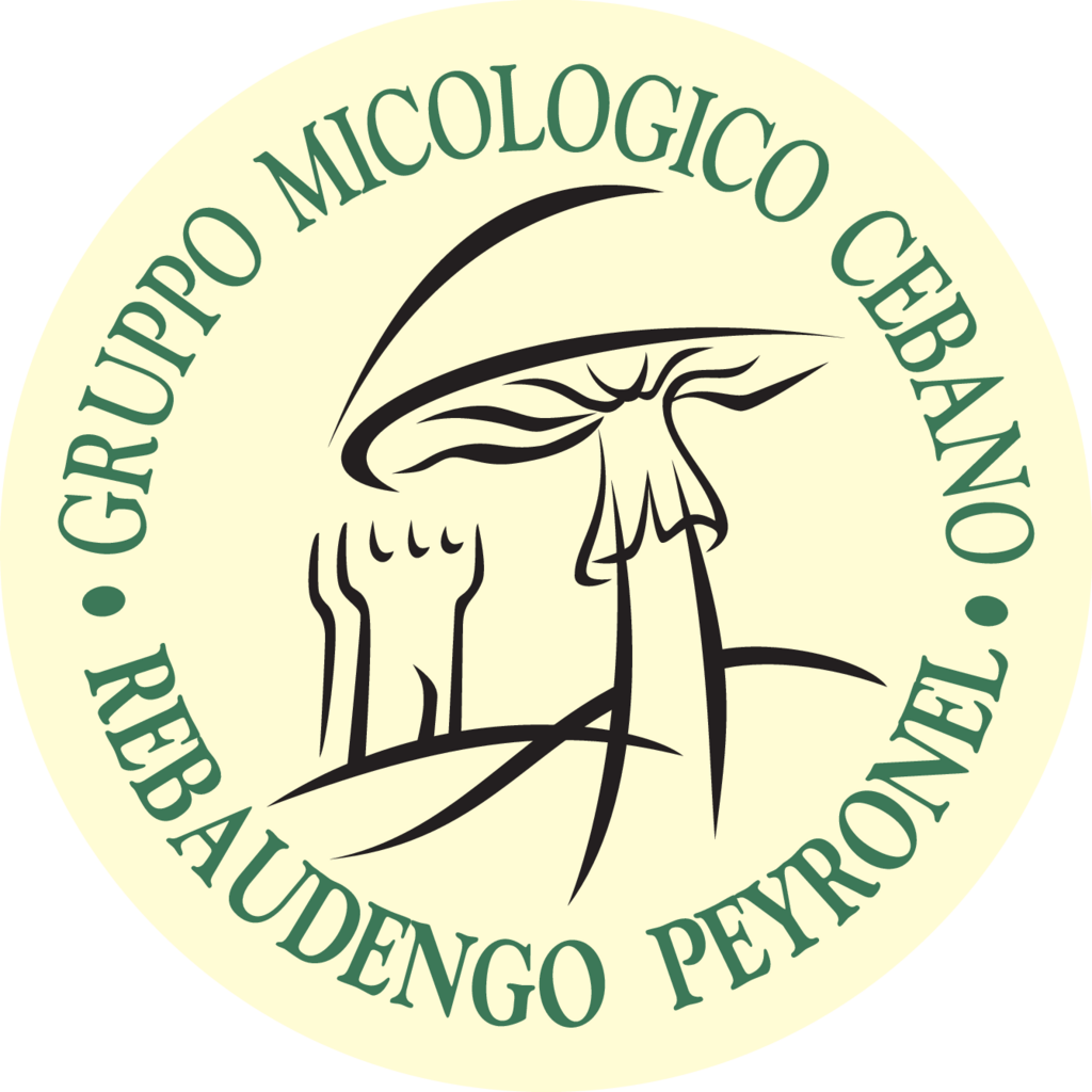 Gruppo,Micologico,Cebano