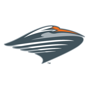 Miami Hurricanes Logo