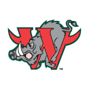 Winston-Salem Warthogs(66) Logo