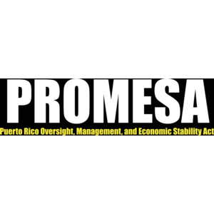 Promesa Logo