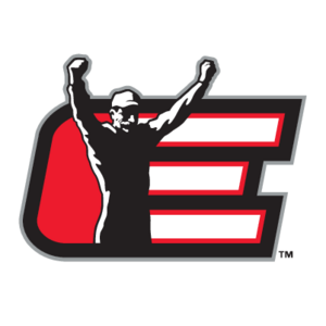 Dale Earnhardt Inc  Logo