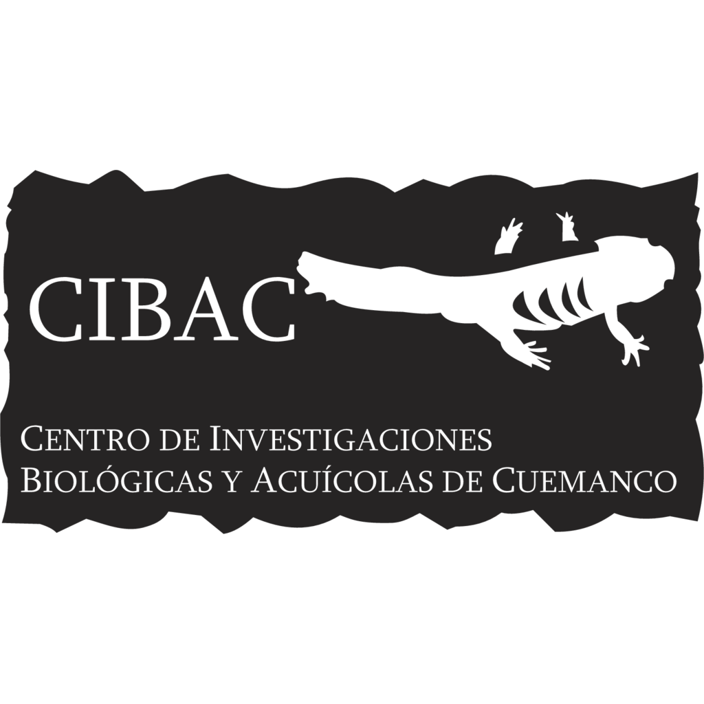 uam,cibac