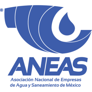 Aneas un Color Logo
