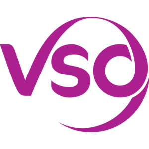 VSO Logo