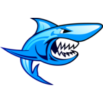 Shark Logo