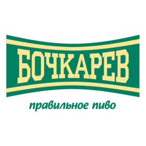 Bochkarev Logo