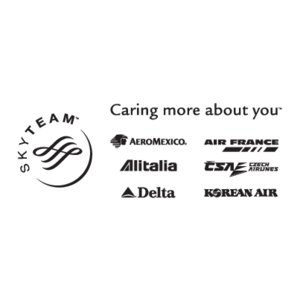 SkyTeam(61) Logo