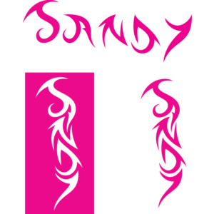 Sandy Logo