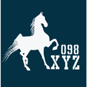 XYZ 098 Logo