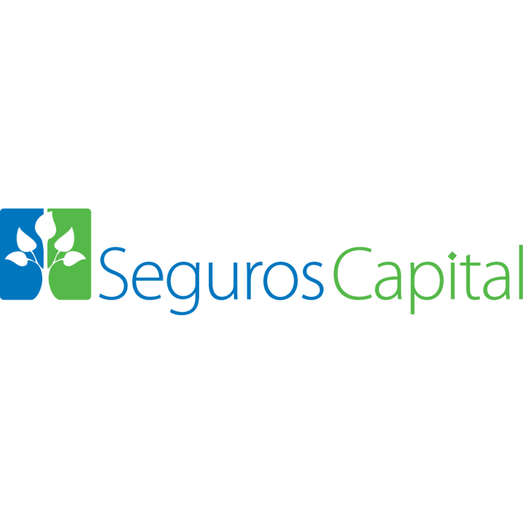 Seguros,Capital