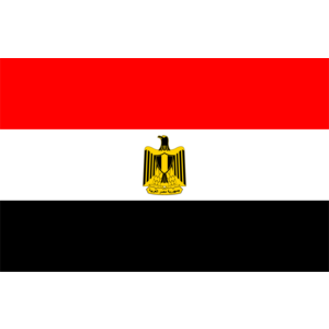 Egyptian flag Logo