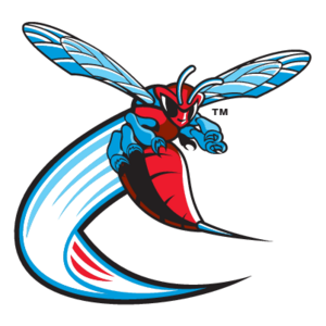 Delaware State Hornets(191) Logo