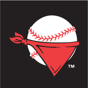 Quad City River Bandits(20) Logo