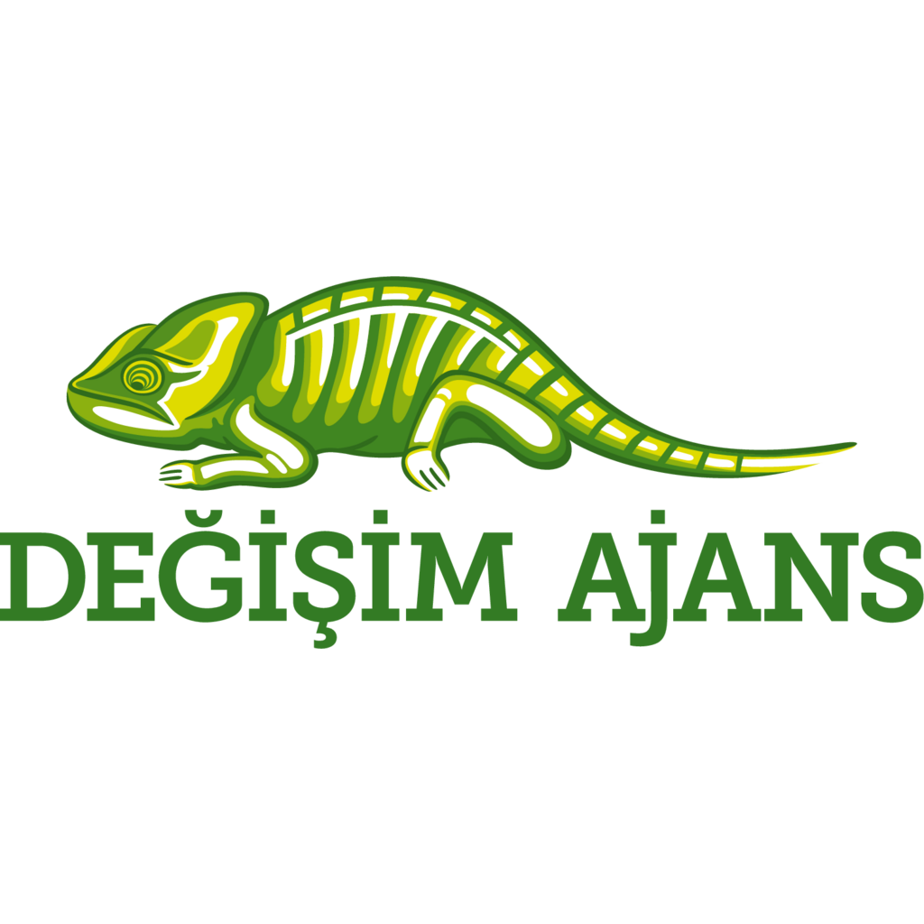 Degisim Ajans, Art 