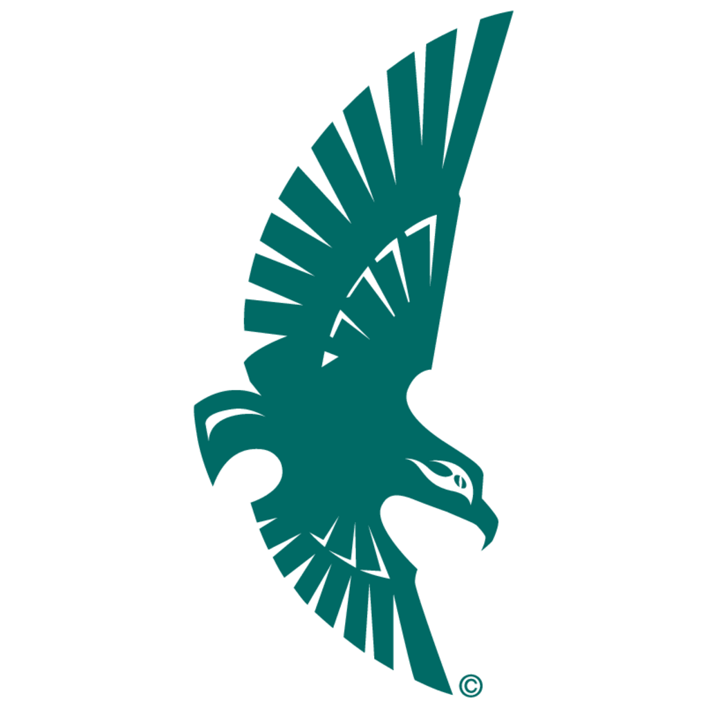 UNCW,Soaring,Seahawk