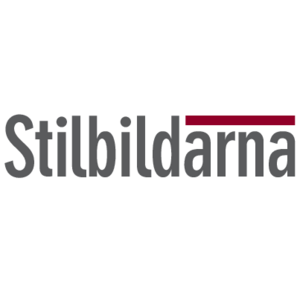 Stilbildarna Logo