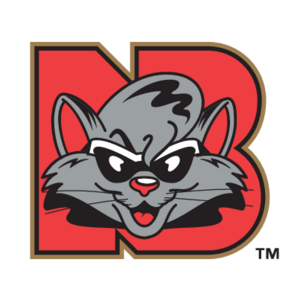 New Britain Rock Cats(155) Logo