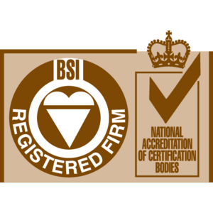 BSi Logo